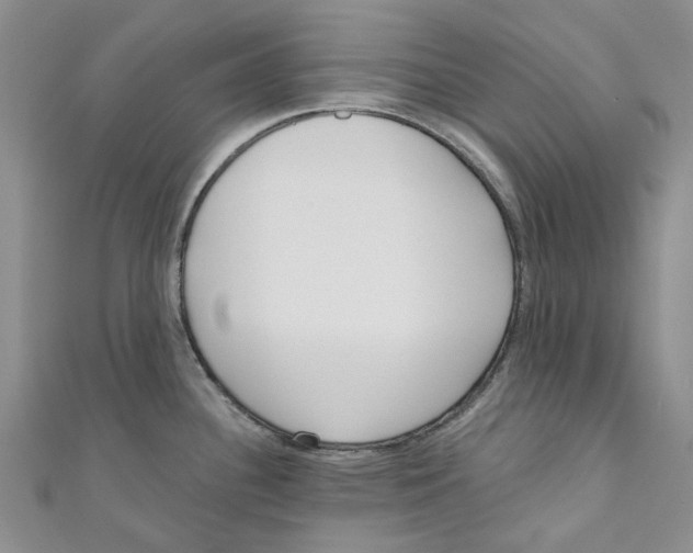 X0000110981340200907171724