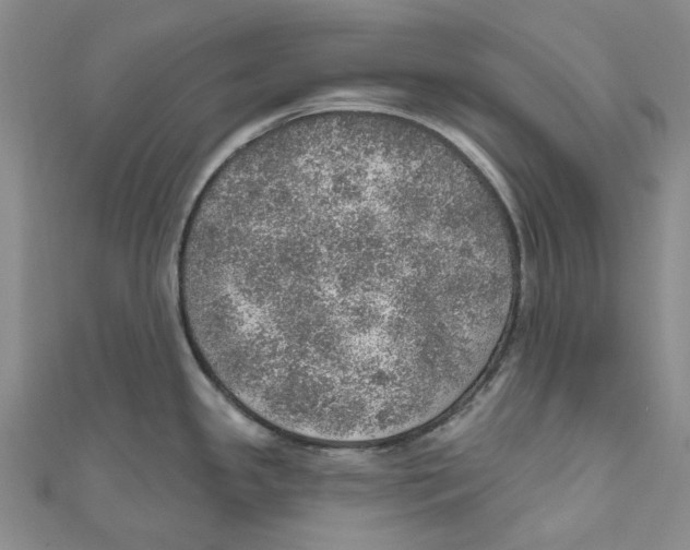 X0000110981341200907171724