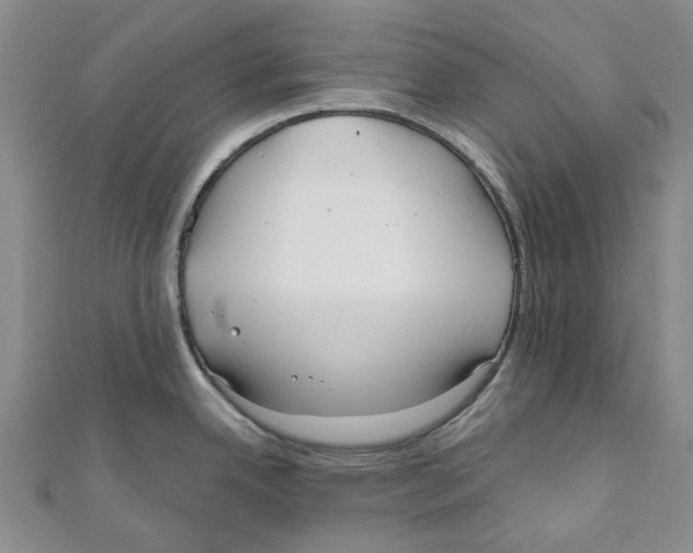 X0000110981342200907171724