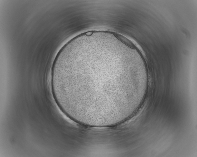 X0000110981343200907171724