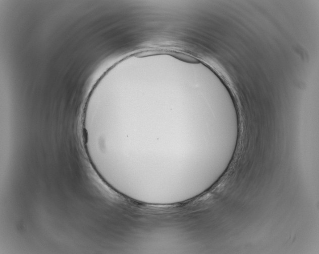 X0000110981344200907171724