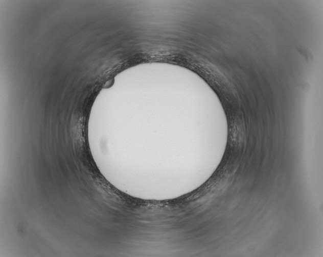 X0000110981346200907171723