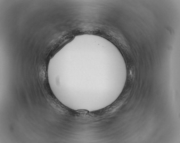 X0000110981348200907171723