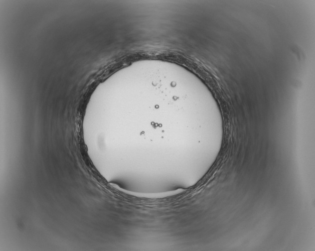 X0000110981349200907171723