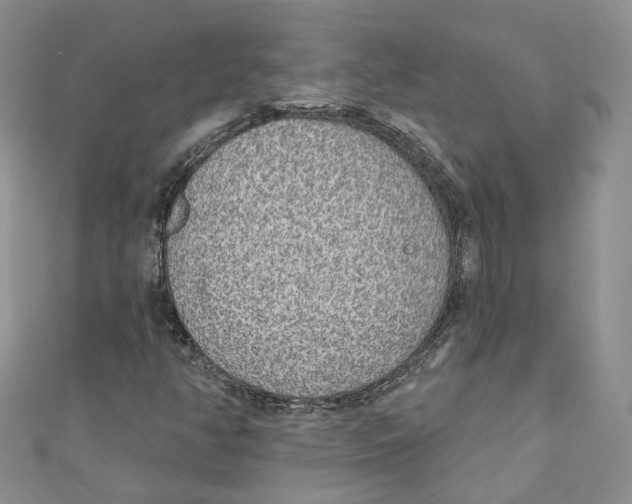 X0000110981350200907171723