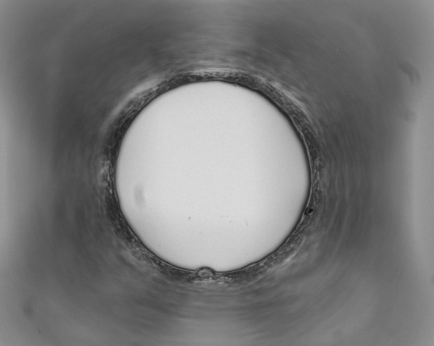 X0000110981351200907171723