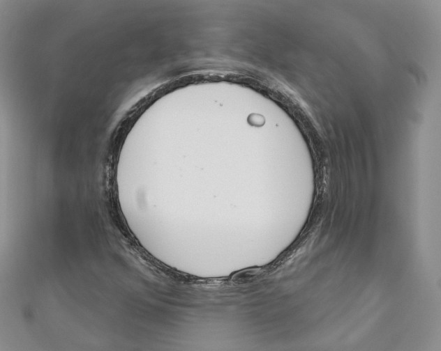 X0000110981352200907171723