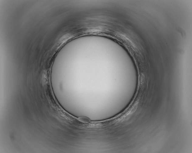 X0000110981353200907171723