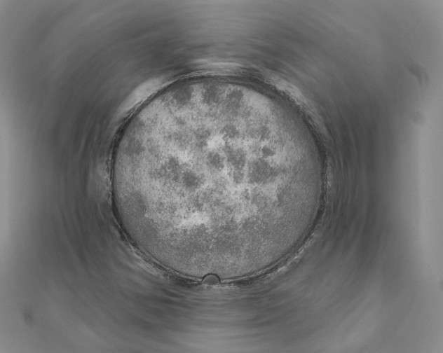 X0000110981354200907171723