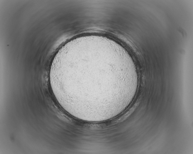 X0000110981355200907171723