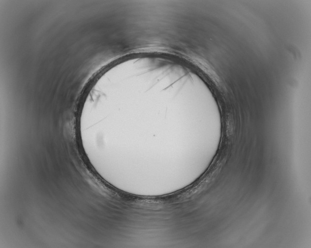 X0000110981356200907171723