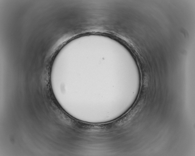 X0000110981359200907171723