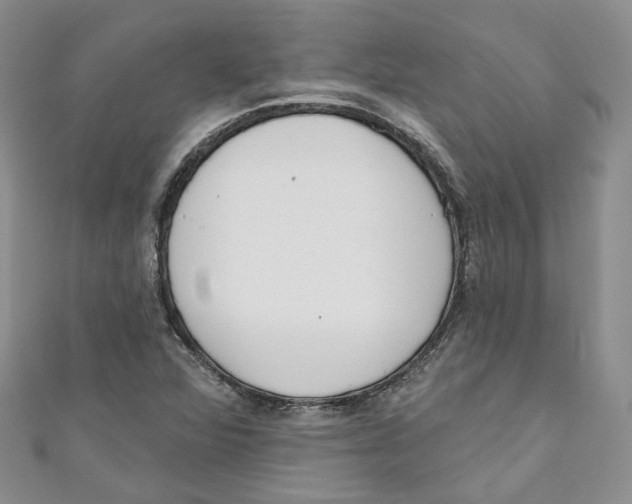 X0000110981360200907171723