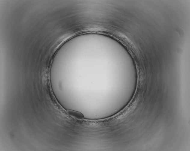 X0000110981361200907171723