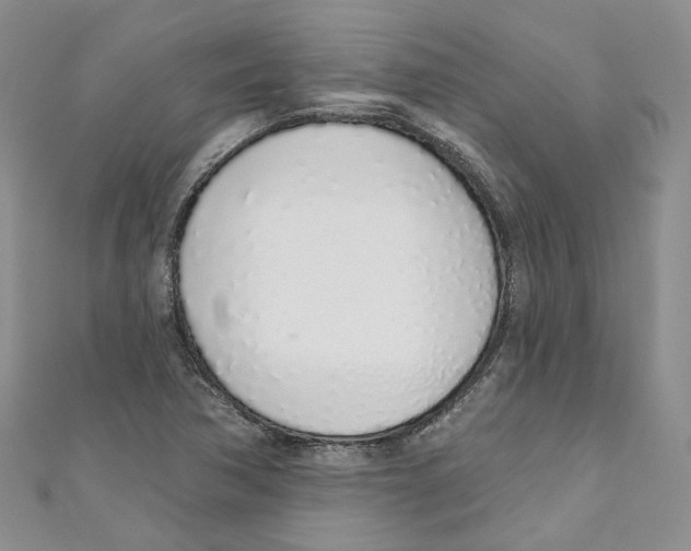 X0000110981362200907171723