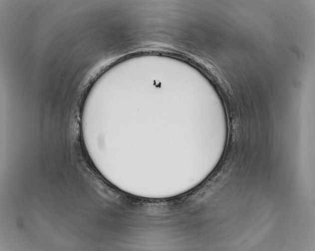 X0000110981363200907171723