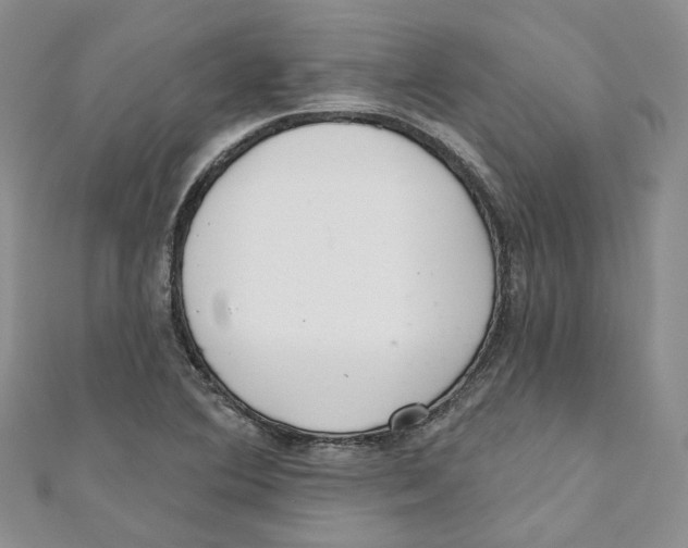 X0000110981364200907171723