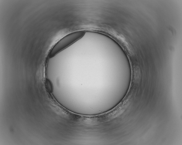 X0000110981365200907171723