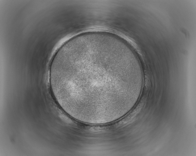 X0000110981366200907171723