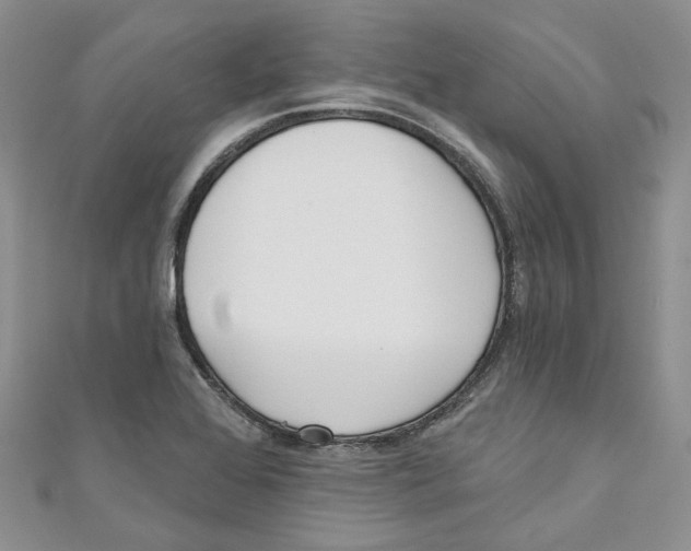 X0000110981368200907171723