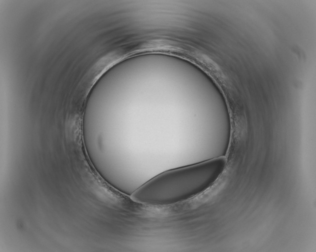 X0000110981369200907171723