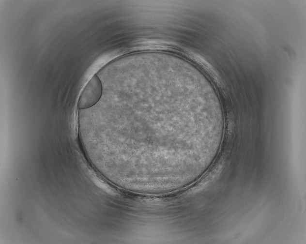 X0000110981370200907171723