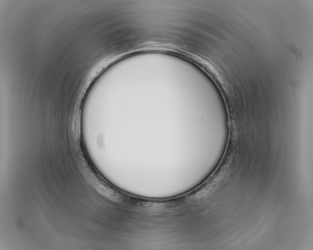 X0000110981371200907171723