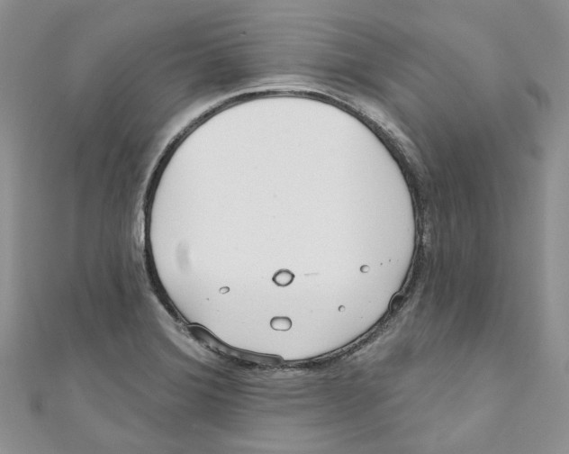 X0000110981372200907171723