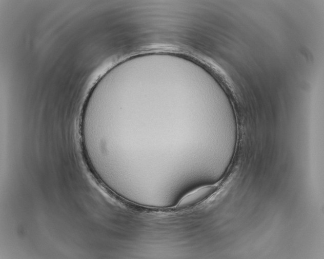 X0000110981373200907171723