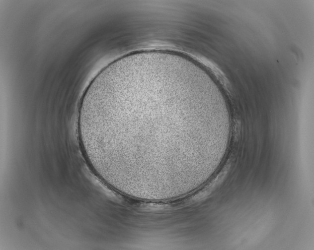 X0000110981374200907171723