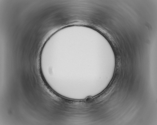 X0000110981375200907171723