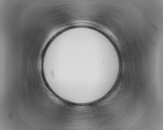 X0000110981376200907171723