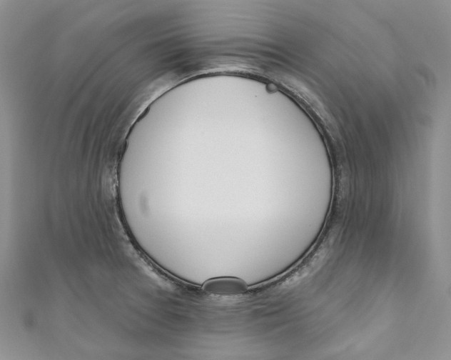 X0000110981377200907171723