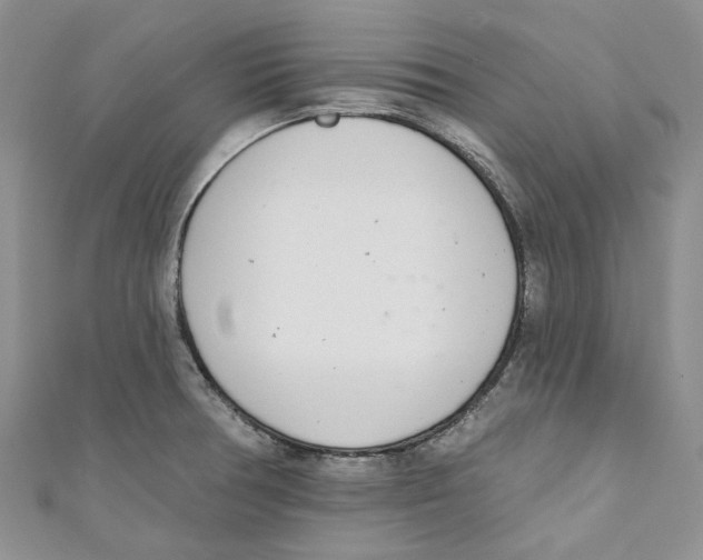 X0000110981378200907171723