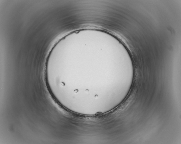 X0000110981379200907171723