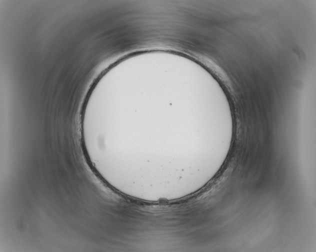 X0000110981380200907171723