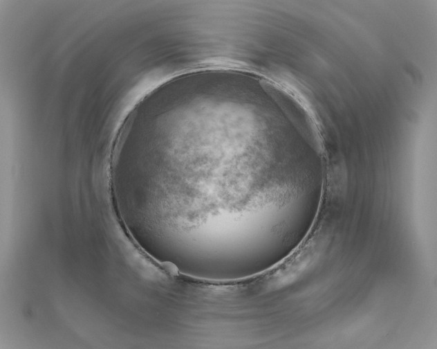 X0000110981381200907171723