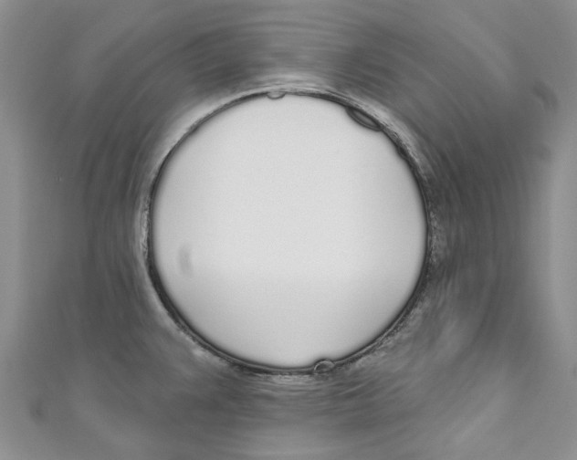 X0000110981383200907171723