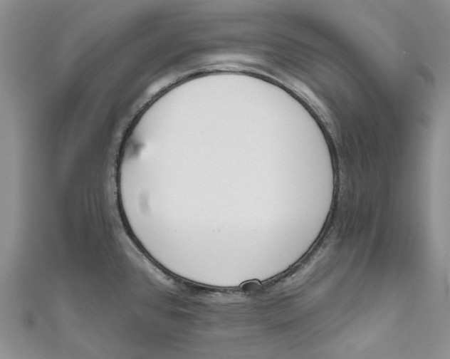 X0000110981384200907171723