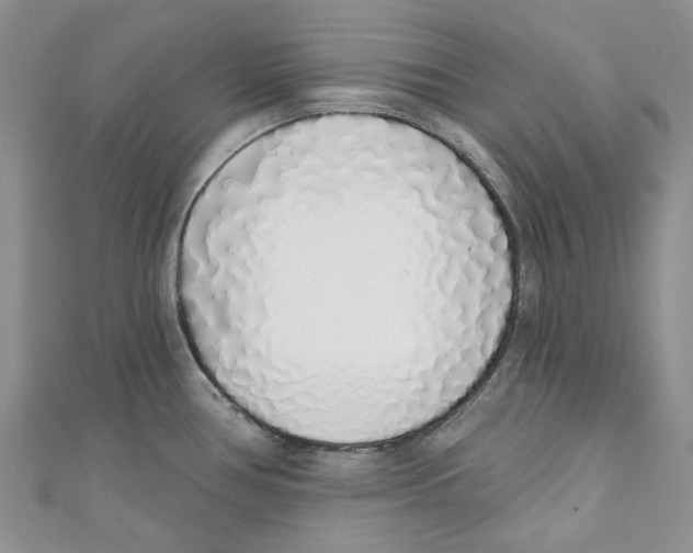 X0000110981386200907171723