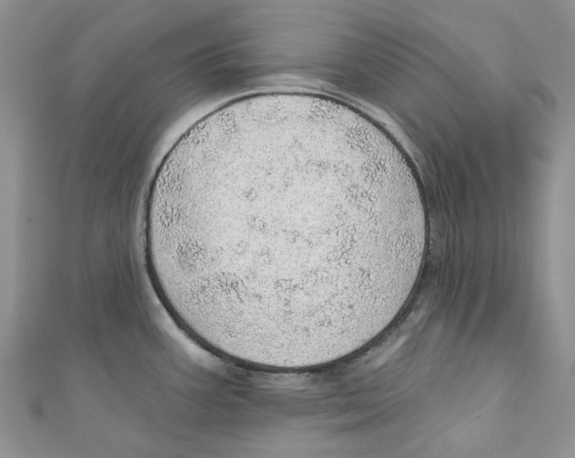 X0000110981387200907171723