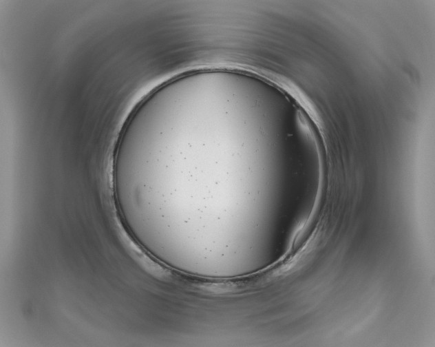 X0000110981388200907171723