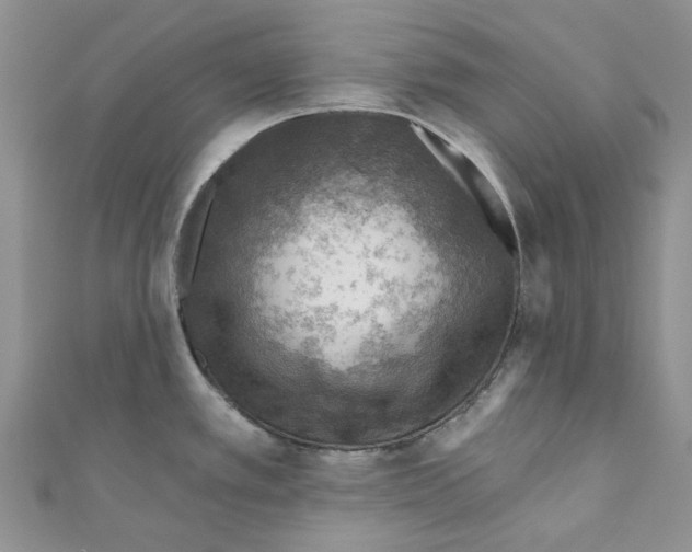 X0000110981389200907171723