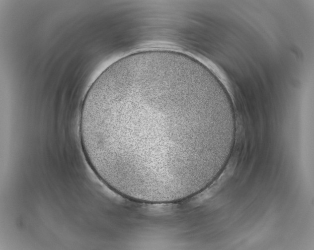 X0000110981390200907171722