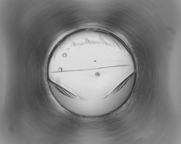 X0000110981392200907171722