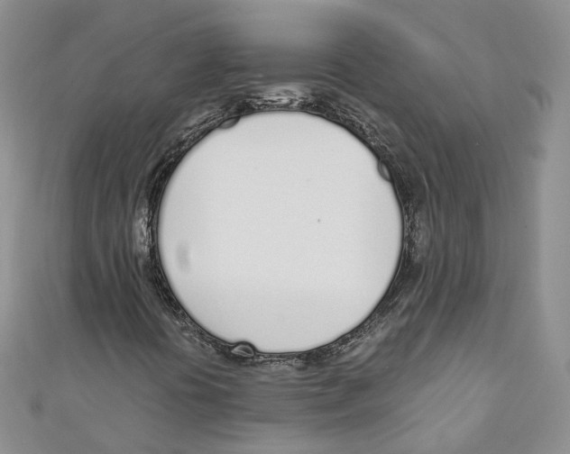 X0000110981394200907171722