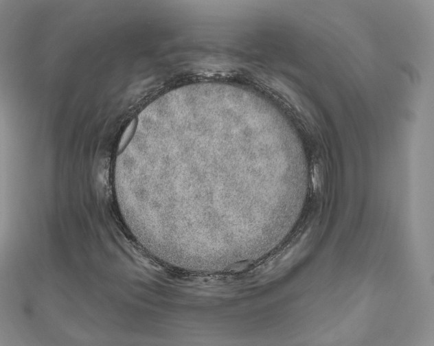 X0000110981396200907171722