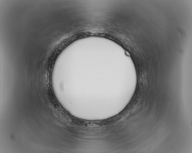 X0000110981398200907171722