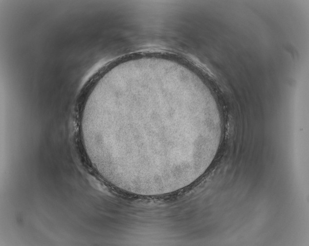 X0000110981400200907171722