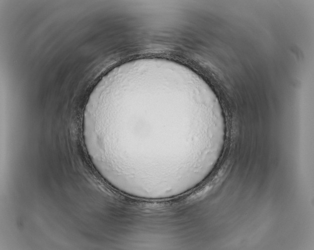 X0000110981401200907171722